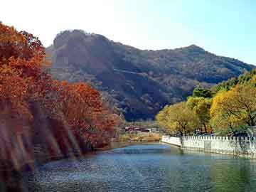 管家婆黑白马报图库，九转青龙乾坤鼎